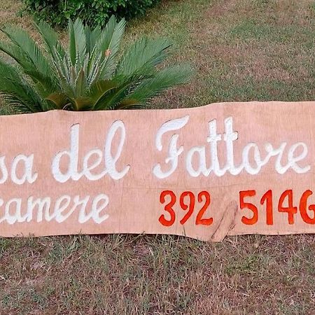 Casa Del Fattore Osimo Exterior foto